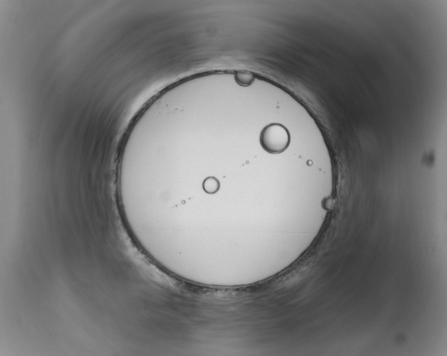 X0000112520950200908171108