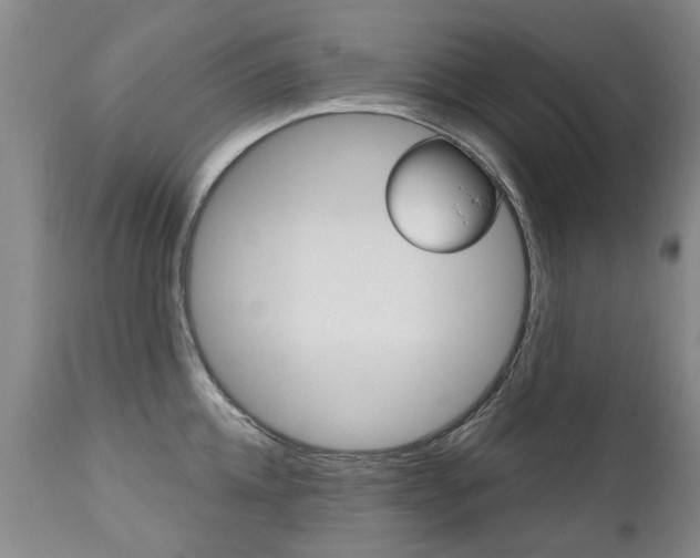 X0000112520952200908171108