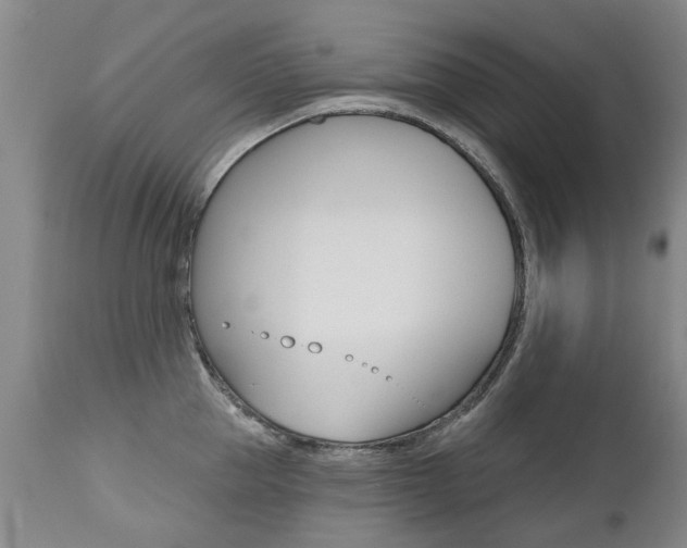 X0000112520953200908171108