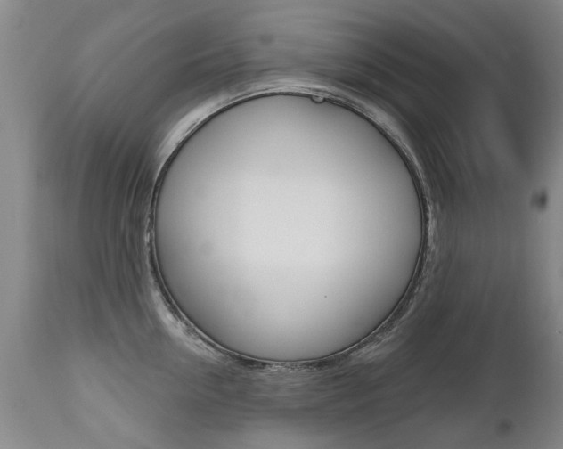 X0000112520954200908171108