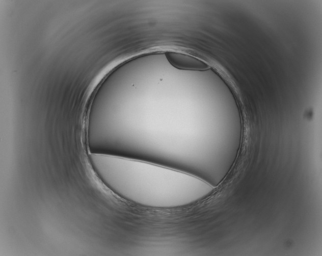 X0000112520955200908171108