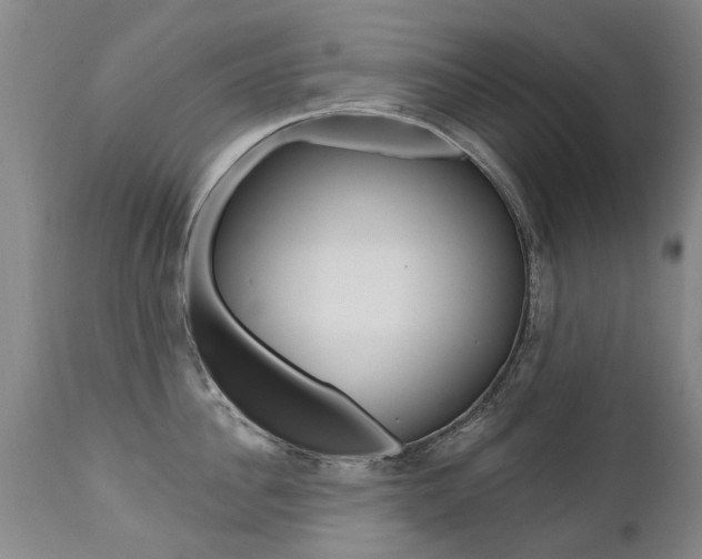 X0000112520956200908171108
