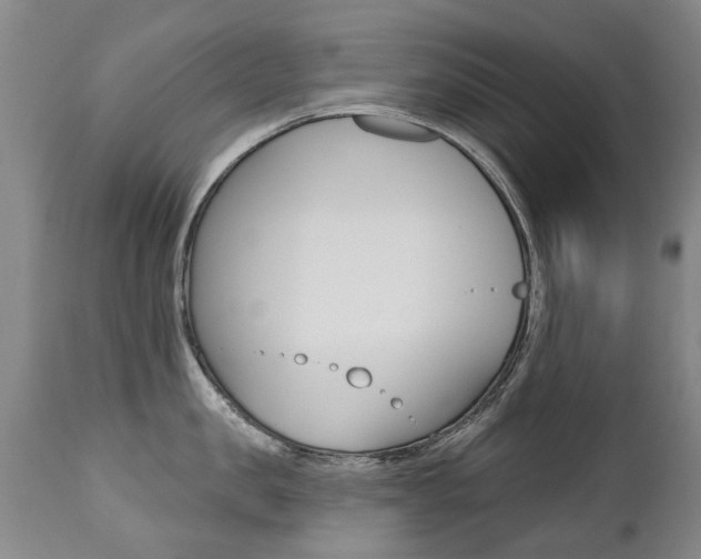 X0000112520957200908171108