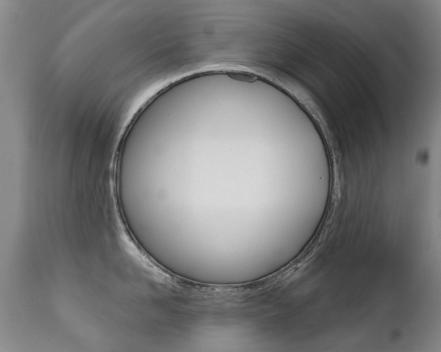 X0000112520958200908171108