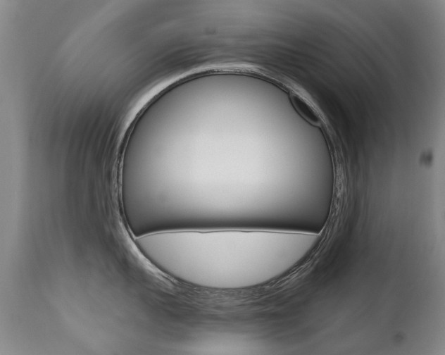X0000112520959200908171108