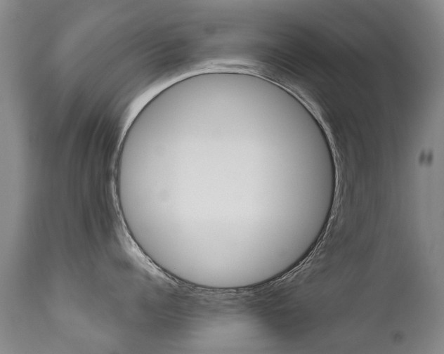X0000112520960200908171108
