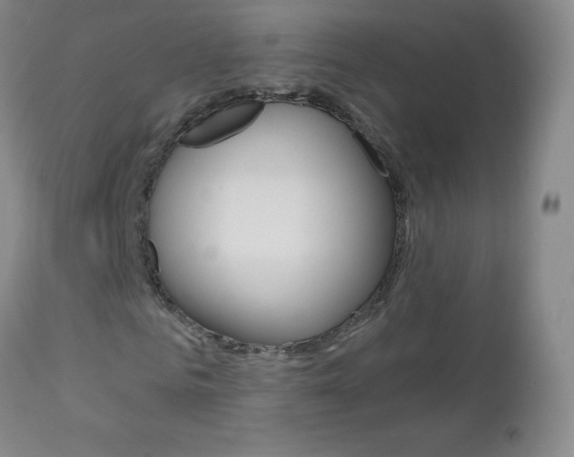 X0000112520961200908171108