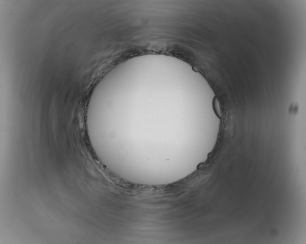 X0000112520962200908171108