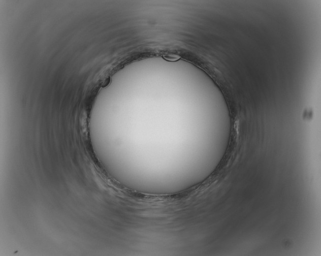 X0000112520963200908171108