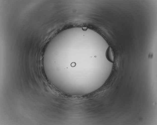 X0000112520964200908171108