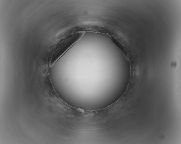 X0000112520965200908171108