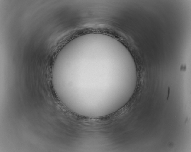 X0000112520966200908171108