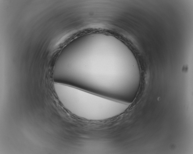 X0000112520968200908171108