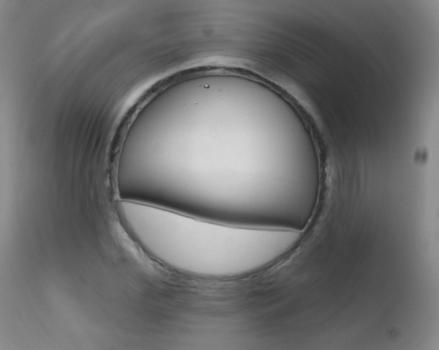 X0000112520972200908171108
