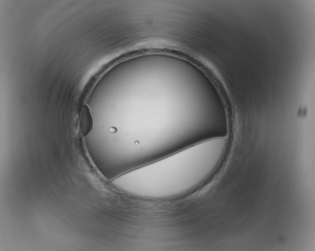 X0000112520973200908171108