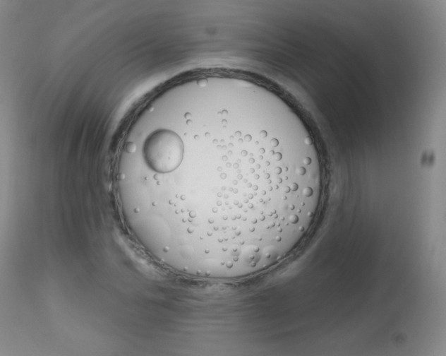 X0000112520974200908171108