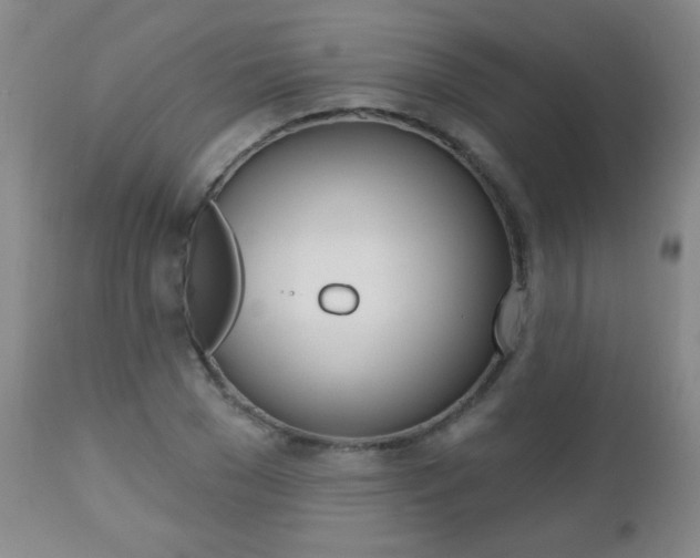 X0000112520977200908171108