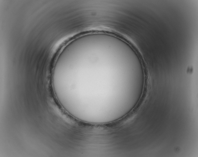 X0000112520979200908171108