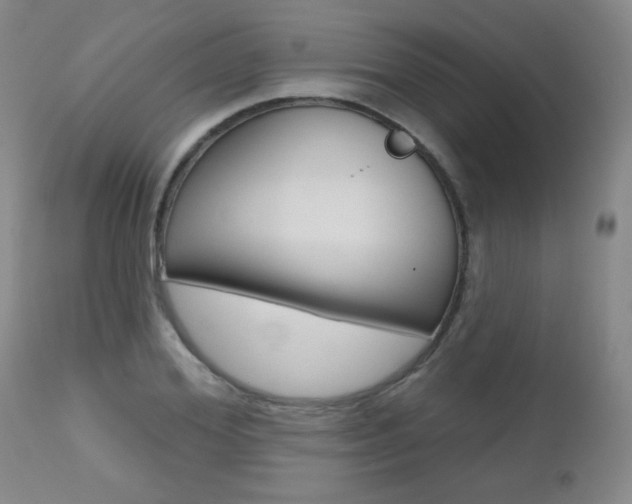 X0000112520980200908171108