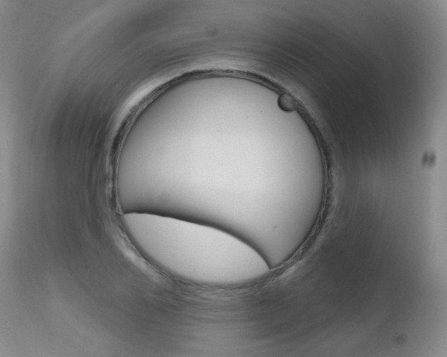 X0000112520982200908171107