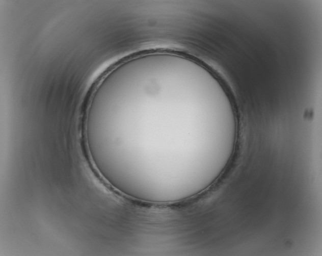 X0000112520983200908171107