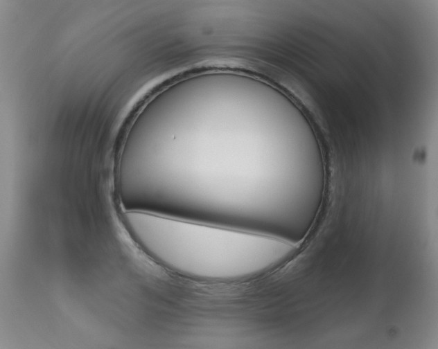X0000112520984200908171107