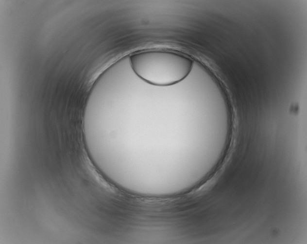 X0000112520985200908171107