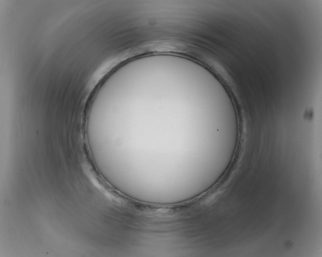 X0000112520986200908171107