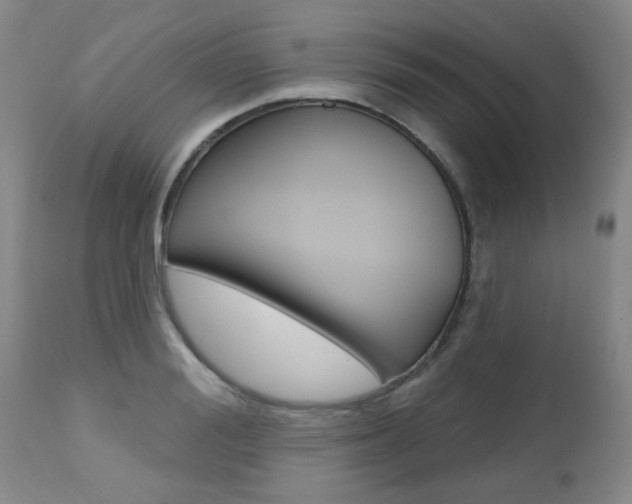 X0000112520988200908171107
