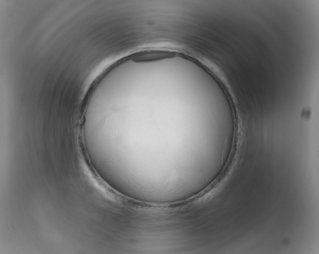 X0000112520989200908171107