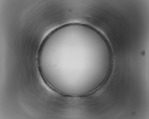 X0000112520991200908171107