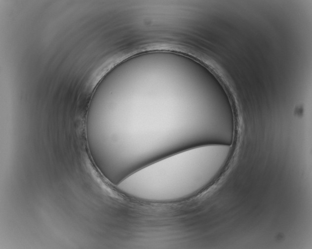 X0000112520993200908171107