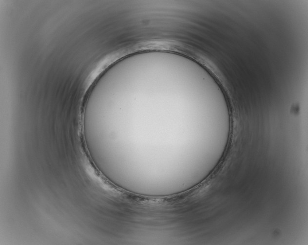 X0000112520994200908171107