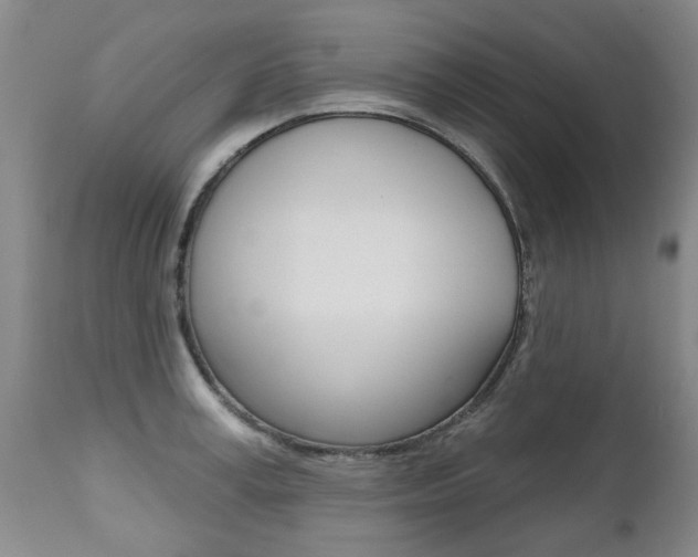 X0000112520995200908171107