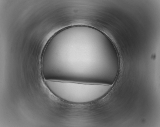 X0000112520996200908171107