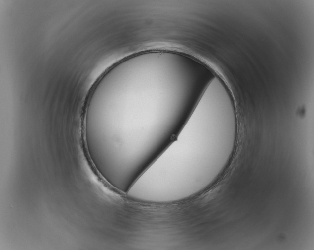 X0000112520999200908171107