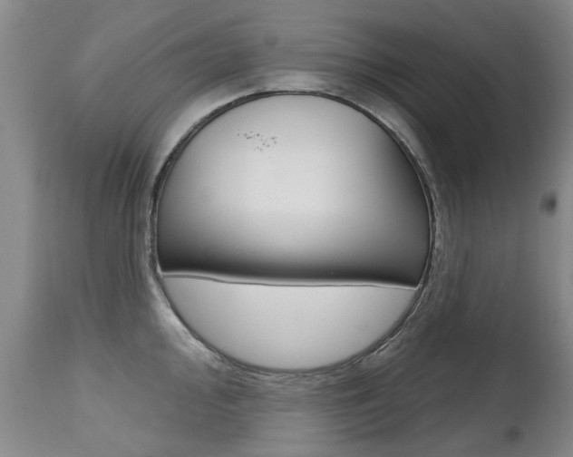 X0000112521000200908171107
