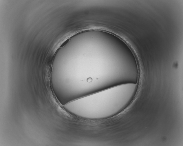 X0000112521001200908171107