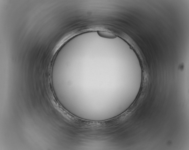X0000112521002200908171107