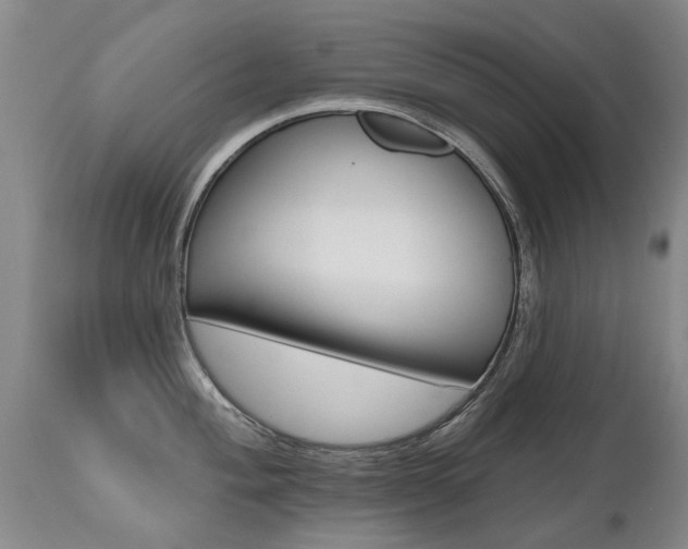 X0000112521004200908171107
