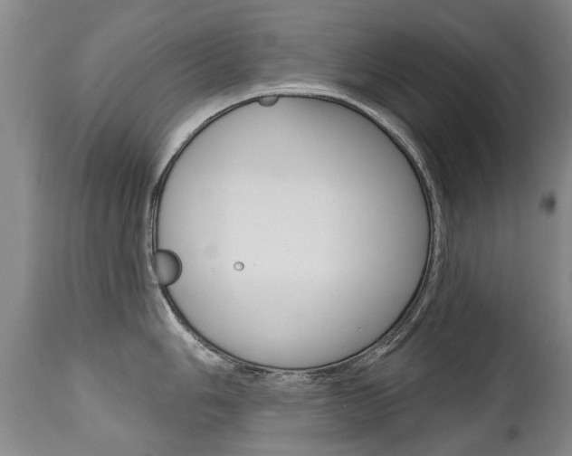 X0000112521006200908171107