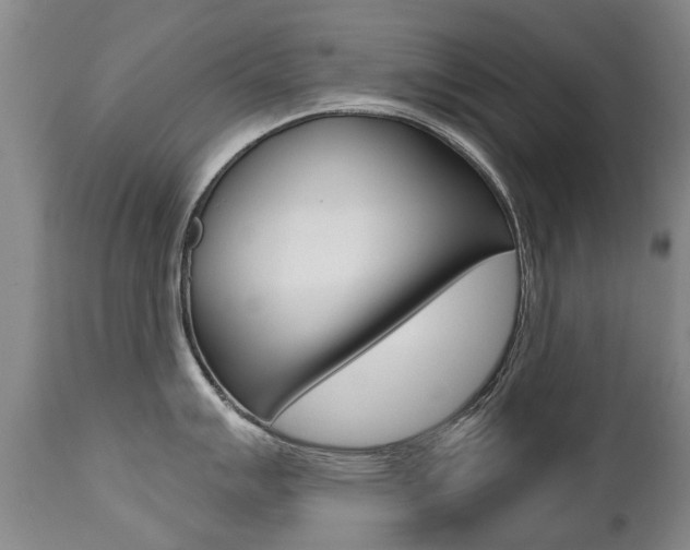 X0000112521007200908171107