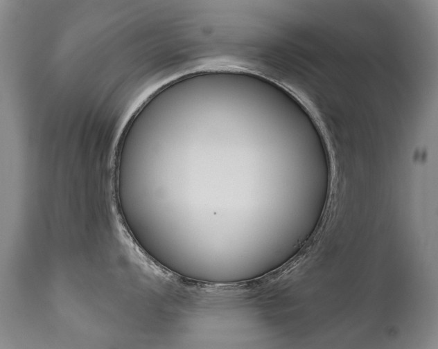 X0000112521008200908171107
