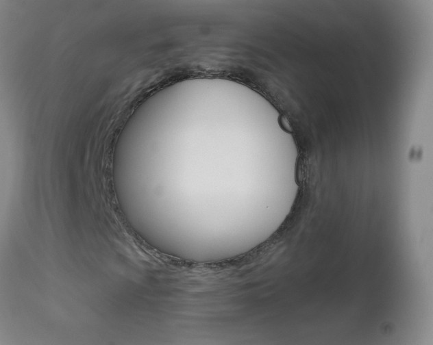 X0000112521009200908171106