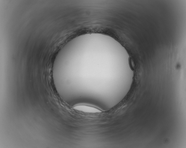 X0000112521010200908171106