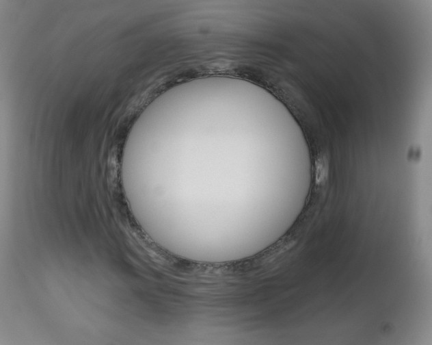 X0000112521011200908171106