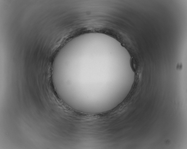 X0000112521012200908171107