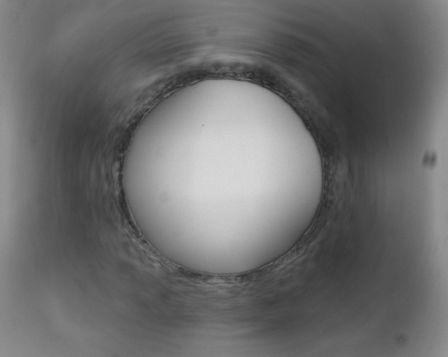 X0000112521013200908171107