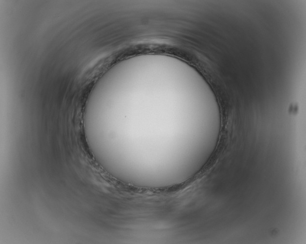 X0000112521014200908171107