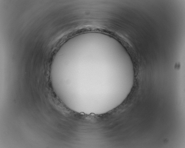 X0000112521015200908171107